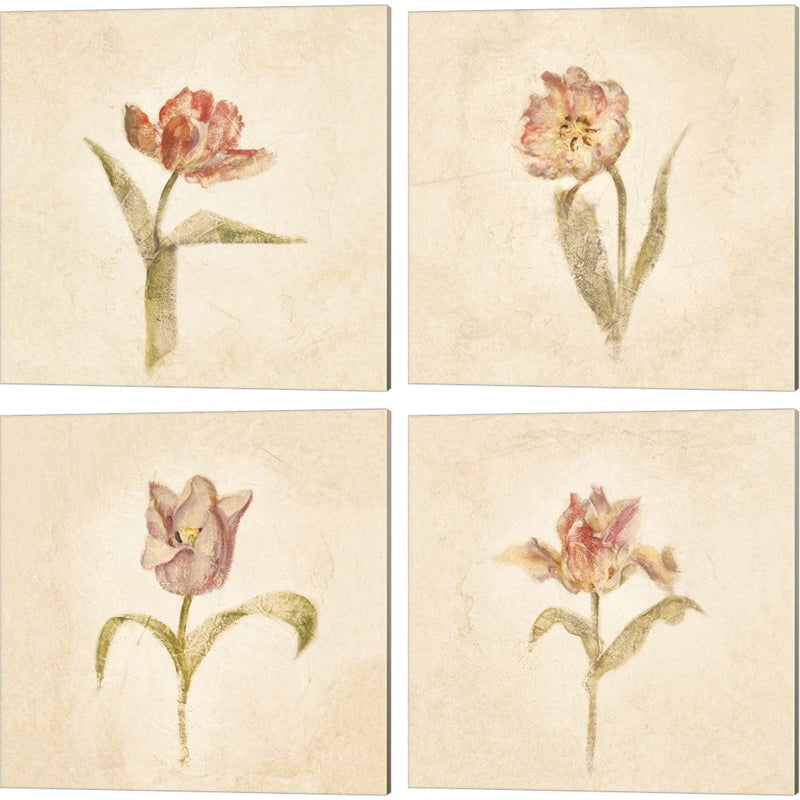 Tulips on White by Cheri Blum, 4 Piece Canvas Art Set