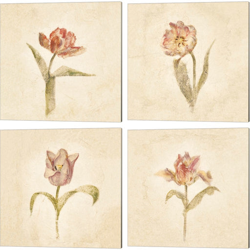 Tulips on White by Cheri Blum, 4 Piece Canvas Art Set