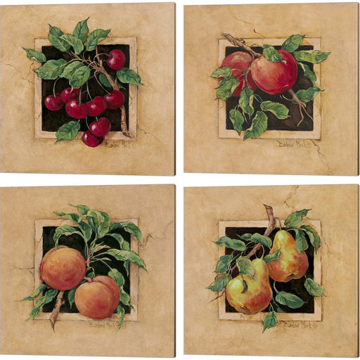 Cherry, Apple, Peach & Pear Square by Barbara Mock, 4 Piece Canvas Art Set