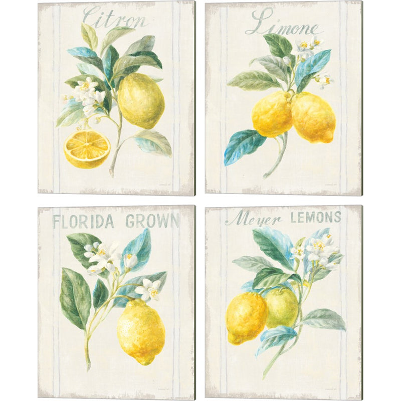Floursack Lemon v2 by Danhui NAI, 4 Piece Canvas Art Set