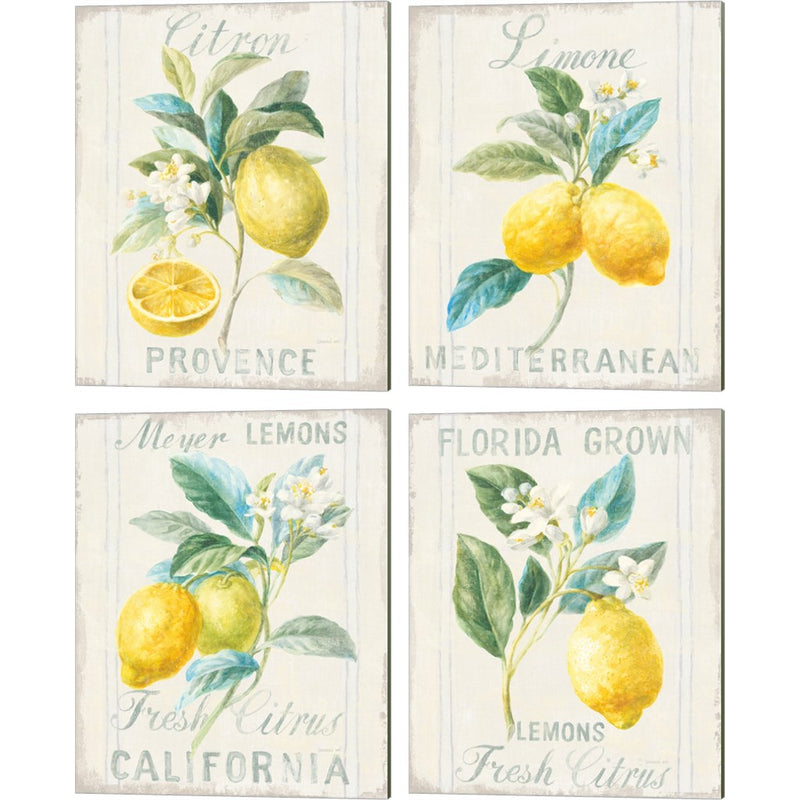 Floursack Lemon by Danhui NAI, 4 Piece Canvas Art Set