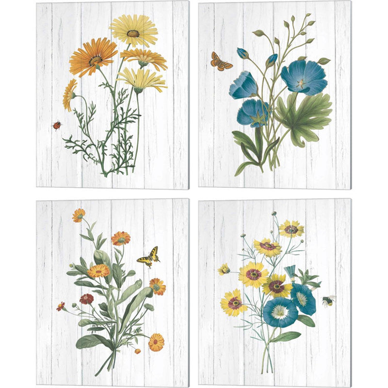 Botanical Bouquet on Wood by Wild Apple Portfolio, 4 Piece Canvas Art Set