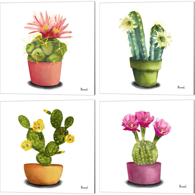 Cactus Flowers A by Bannarot, 4 Piece Canvas Art Set