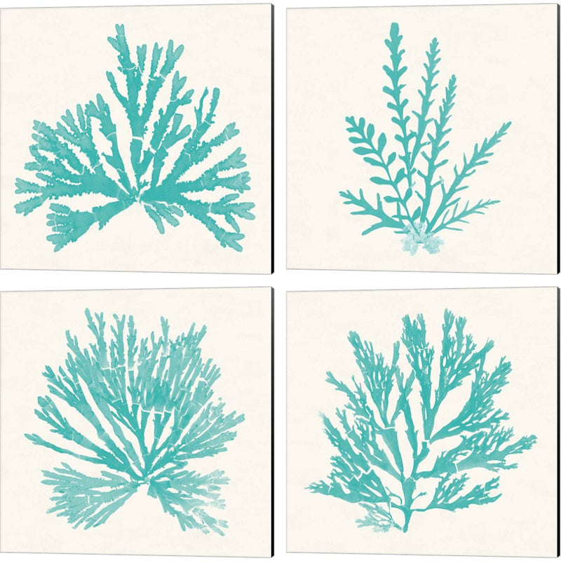 Pacific Sea Mosses Aqua by Wild Apple Portfolio, 4 Piece Canvas Art Set