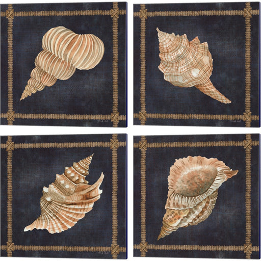 Seashell on Navy by Cindy Jacobs, 4 Piece Canvas Art Set
