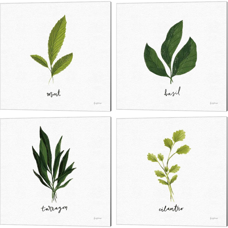Herbs White by Becky Thorns, 4 Piece Canvas Art Set
