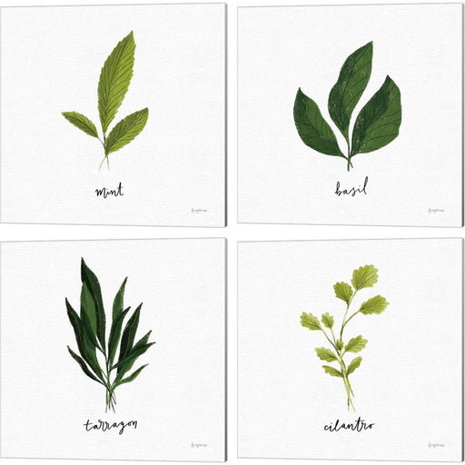 Herbs White by Becky Thorns, 4 Piece Canvas Art Set