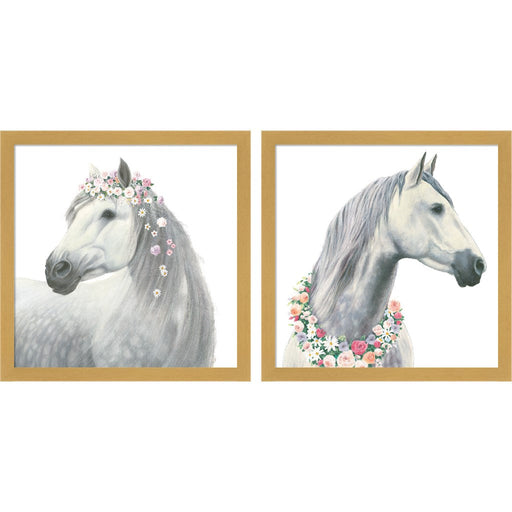 Spirit Stallion Square by James Wiens, 2 Piece Natural Framed Art Set