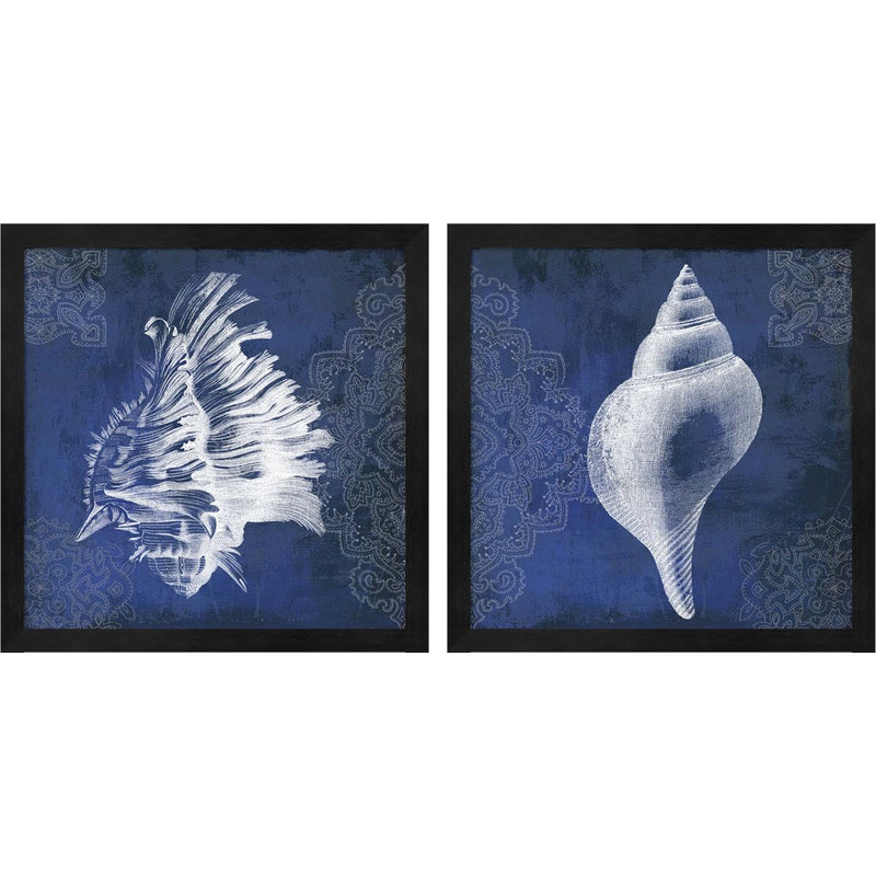 Navy Shell by Posters International Studio, 2 Piece Black Framed Art Set