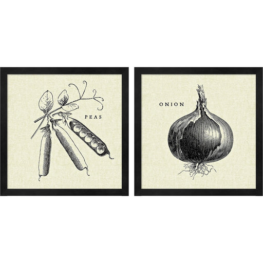 Linen Vegetable BW Sketch by Studio Mousseau, 2 Piece Black Framed Art Set