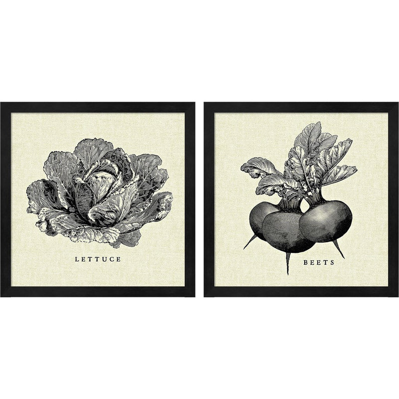 Linen Vegetable BW Sketch B by Studio Mousseau, 2 Piece Black Framed Art Set