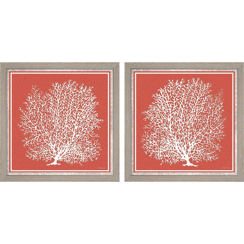Coastal Coral on Red by Cindy Jacobs, 2 Piece Rustic White Framed Art Set