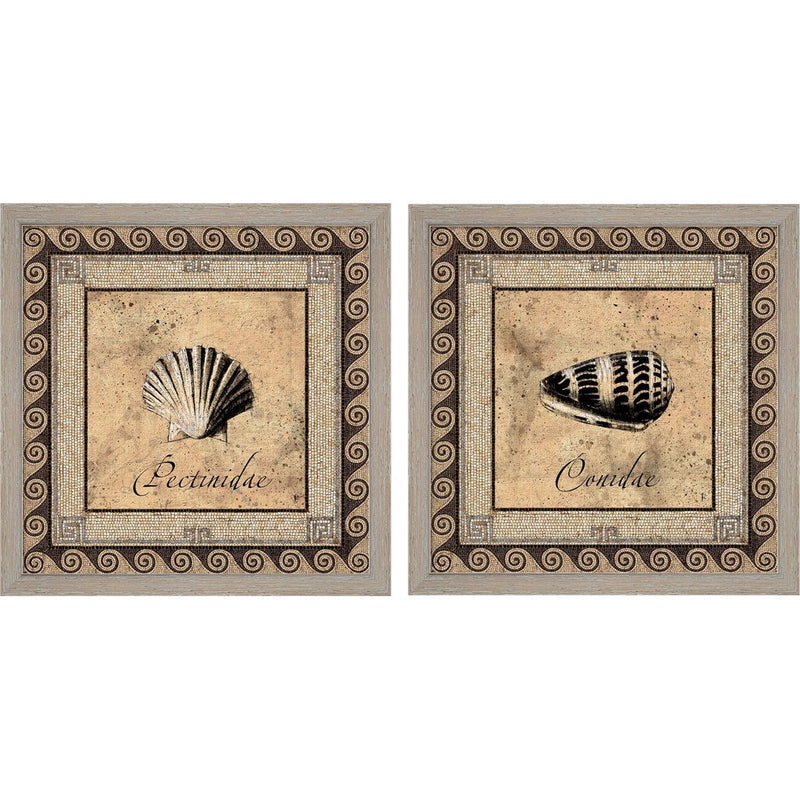 Shell Works by Paul Panossian, 2 Piece Rustic White Framed Art Set