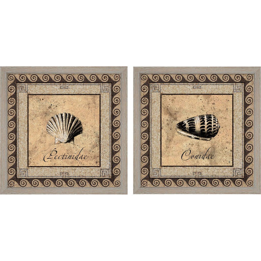 Shell Works by Paul Panossian, 2 Piece Rustic White Framed Art Set