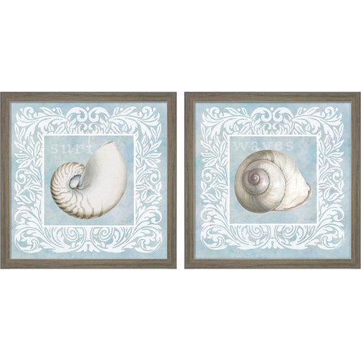 Sandy Shells on Blue - Nautilus & Snail by Beth Grove, 2 Piece Rustic Grey Framed Art Set