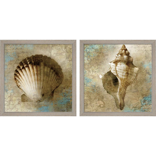 Seaside Souvenir & Aquatic Allure by Keith Mallett, 2 Piece Rustic White Framed Art Set