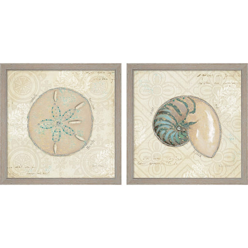 Beach Treasures by Emily Adams, 2 Piece Rustic White Framed Art Set