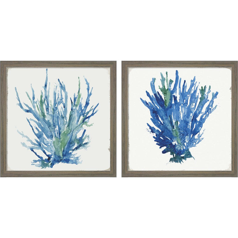 Blue and Green Coral by Aimee Wilson, 2 Piece Rustic Grey Framed Art Set
