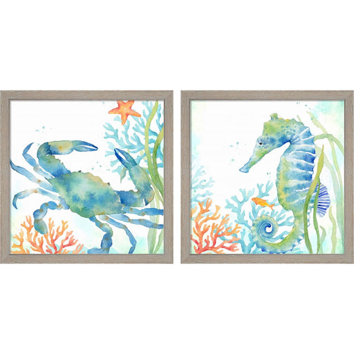 Sea Life Serenade by Cynthia Coulter, 2 Piece Rustic White Framed Art Set