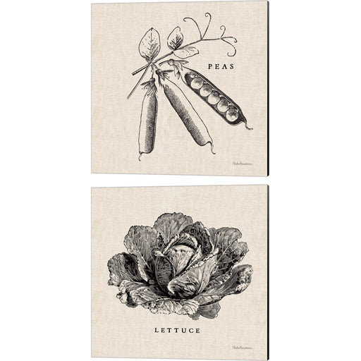Burlap Vegetable BW Sketch Peas & Lettuce by Studio Mousseau, 2 Piece Canvas Art Set