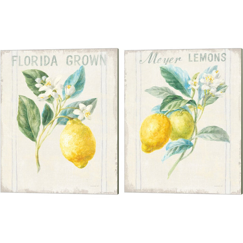 Floursack Lemon v2 by Danhui NAI, 2 Piece Canvas Art Set