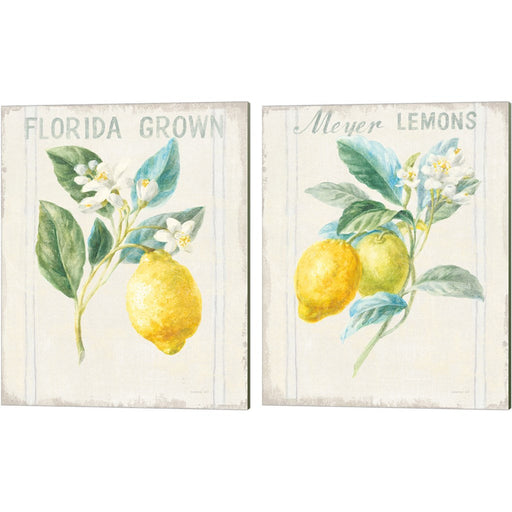 Floursack Lemon v2 by Danhui NAI, 2 Piece Canvas Art Set