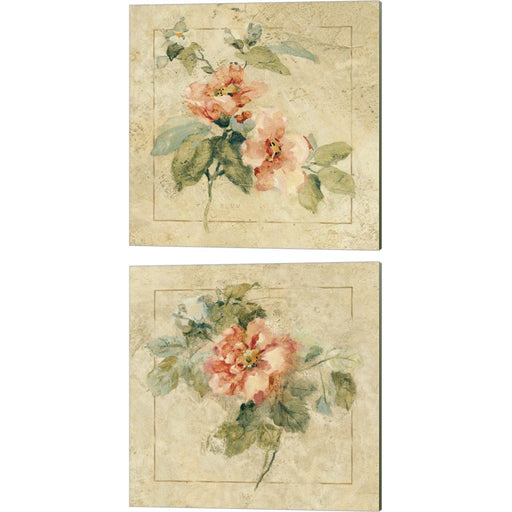 Provence Rose by Cheri Blum, 2 Piece Canvas Art Set