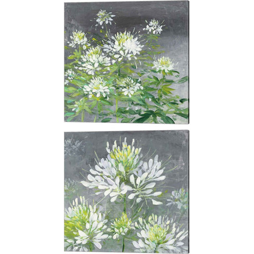 Farmhouse Cleome by Julia Purinton, 2 Piece Canvas Art Set
