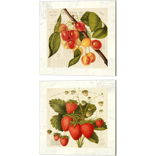 Cerises & Fraises by Remy Dellal, 2 Piece Canvas Art Set