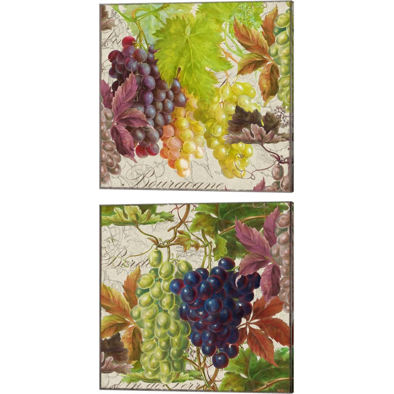 Vintage Fruits Grapes by Cora Niele, 2 Piece Canvas Art Set