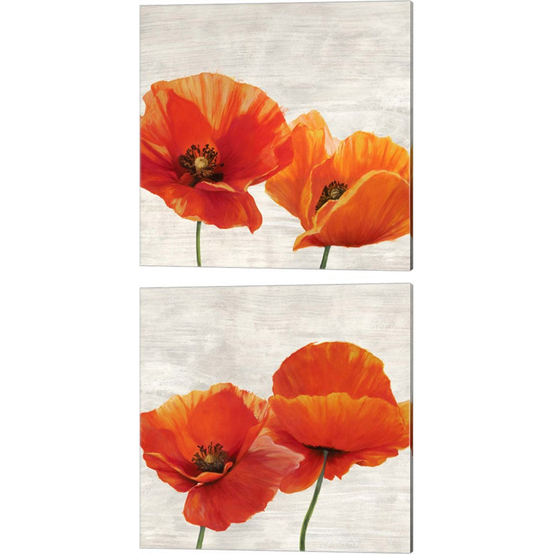 Bright Poppies by Jenny Thomlinson, 2 Piece Canvas Art Set