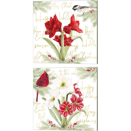Merry Amaryllis A by Tara Reed, 2 Piece Canvas Art Set