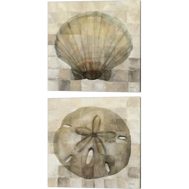 Scallop Shell & Sand Dollar by Stellar Design Studio, 2 Piece Canvas Art Set