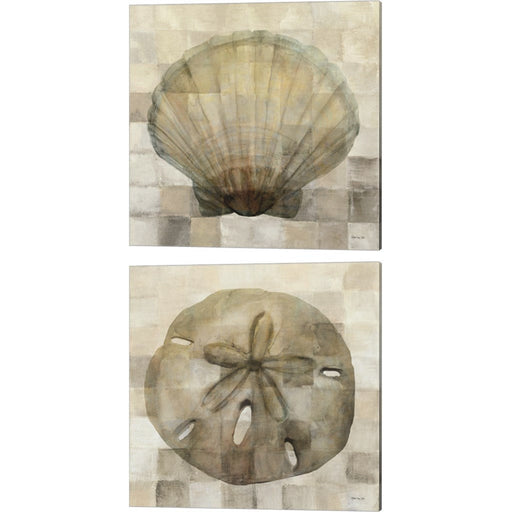 Scallop Shell & Sand Dollar by Stellar Design Studio, 2 Piece Canvas Art Set