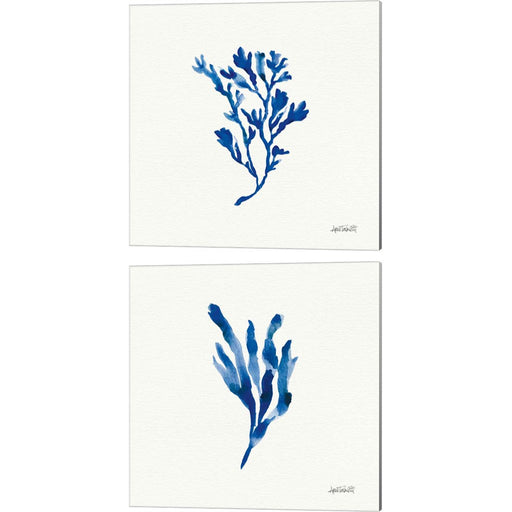 Deep Sea Botanical by Anne Tavoletti, 2 Piece Canvas Art Set