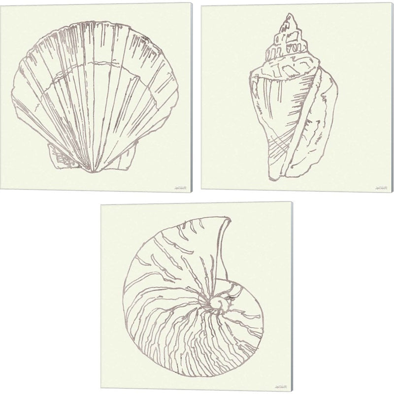Coastal Breeze Shell Sketches Silver by Anne Tavoletti, 3 Piece Canvas Art Set