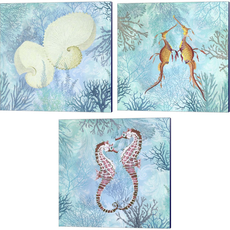 Marine Love - Paper Shells, Seadragons & Seahorses by Cora Niele, 3 Piece Canvas Art Set
