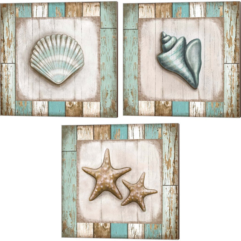 Shell, Turquoise Seashell & Two Starfish by Elizabeth Tyndall, 3 Piece Canvas Art Set