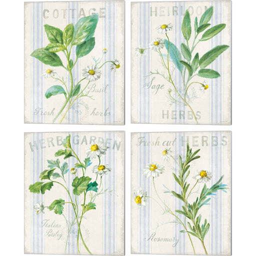 Floursack Herbs by Danhui NAI, 4 Piece Canvas Art Set
