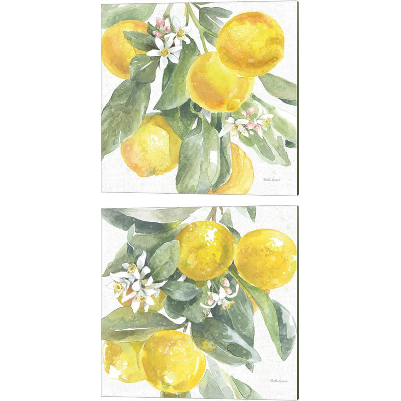 Citrus Charm Lemons by Beth Grove, 2 Piece Canvas Art Set