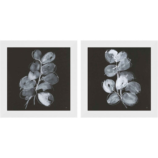 White Eucalyptus by Chris Paschke, 2 Piece White Framed Art Set