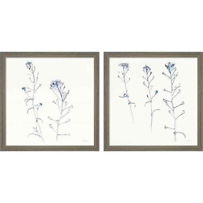 Shepherds Purse Stems Blue by Shirley Novak, 2 Piece Rustic Grey Framed Art Set