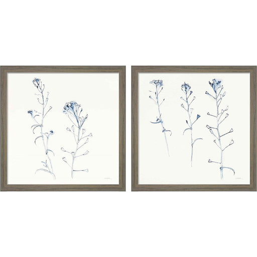 Shepherds Purse Stems Blue by Shirley Novak, 2 Piece Rustic Grey Framed Art Set