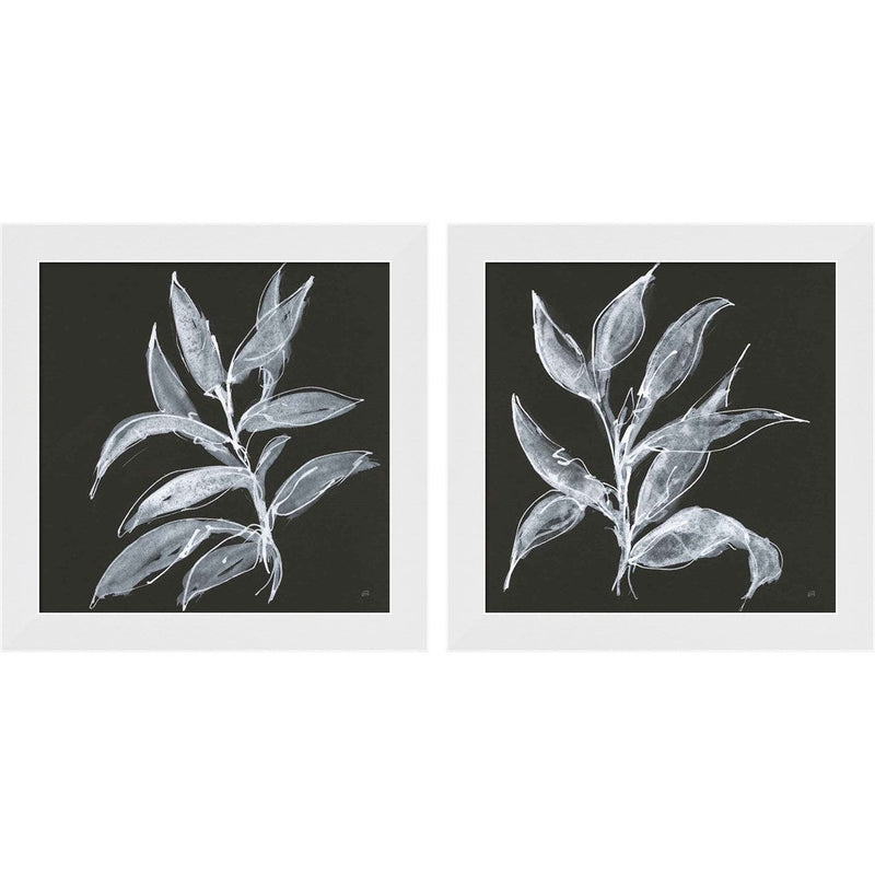 Branch A by Chris Paschke, 2 Piece White Framed Art Set