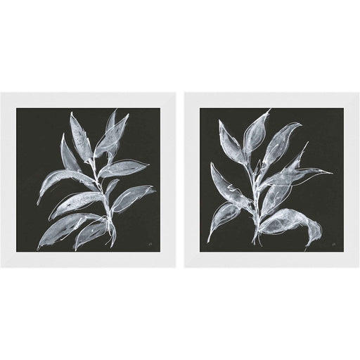 Branch A by Chris Paschke, 2 Piece White Framed Art Set