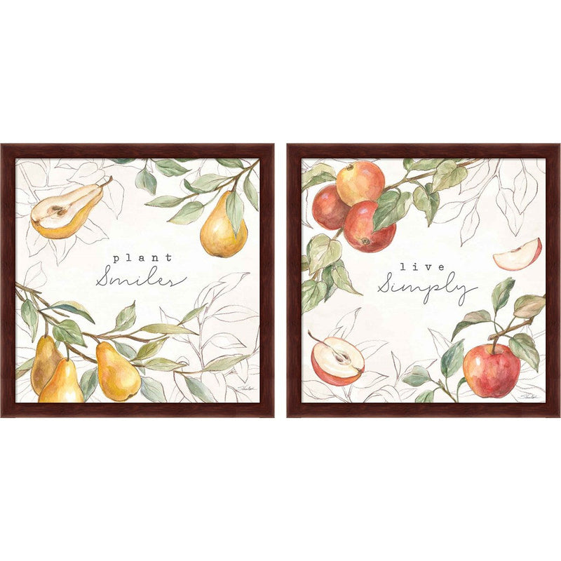 In the Orchard C by Silvia Vassileva, 2 Piece Brown Framed Art Set