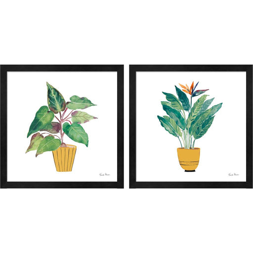 Potted Jewels by Farida Zaman, 2 Piece Black Framed Art Set