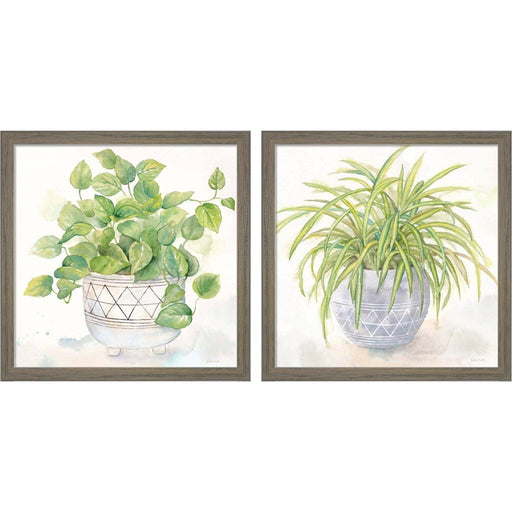 Houseplant (Philodendron & Spider Plant) by Cynthia Coulter, 2 Piece Rustic Grey Framed Art Set