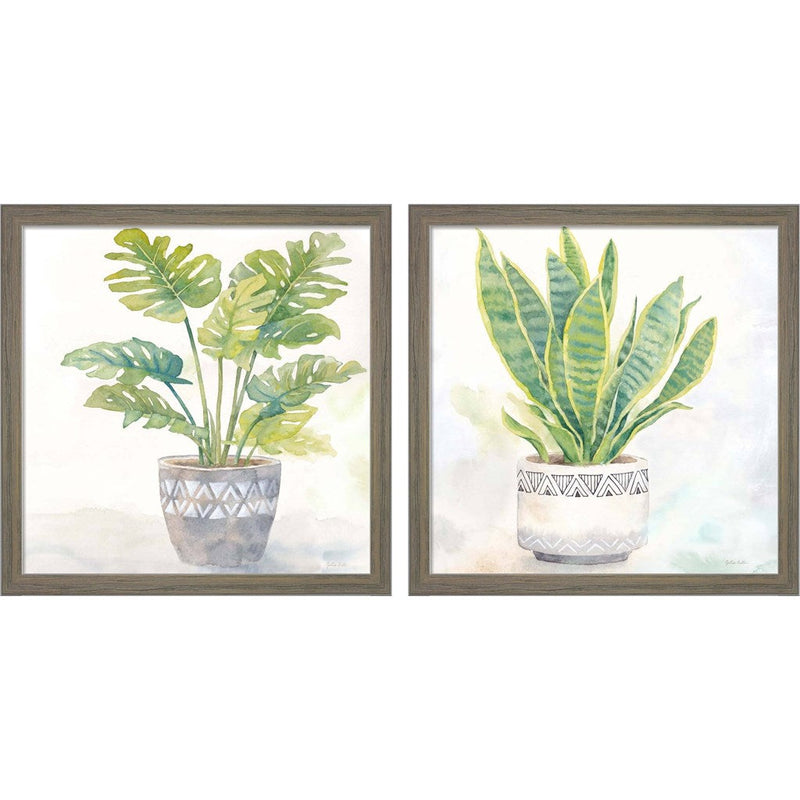Houseplant (Split Leaf Philodendron & Snake Plant) by Cynthia Coulter, 2 Piece Rustic Grey Framed Art Set