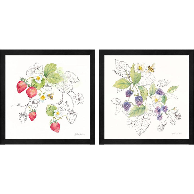 Berries and Bees A by Cynthia Coulter, 2 Piece Black Framed Art Set